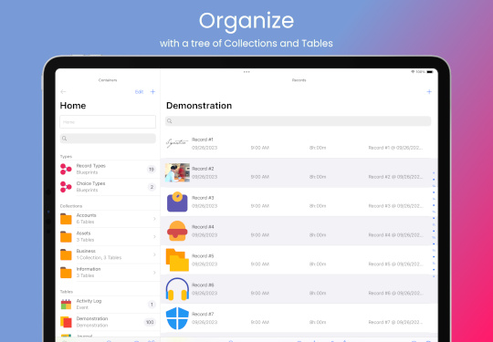 iOS database app screenshot: Organize with a tree of Collections and Tables (iPad)