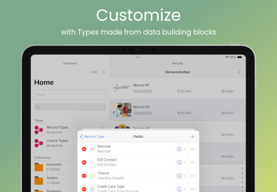iOS database app screenshot: Customize with Types made from data building blocks (iPad)
